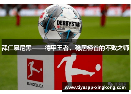 拜仁慕尼黑——德甲王者，稳居榜首的不败之师