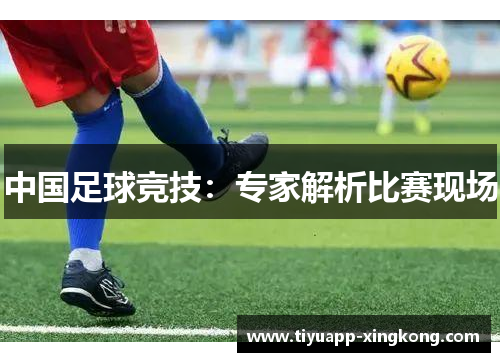 中国足球竞技：专家解析比赛现场