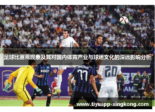 足球比赛荒现象及其对国内体育产业与球迷文化的深远影响分析