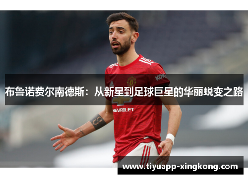 布鲁诺费尔南德斯：从新星到足球巨星的华丽蜕变之路