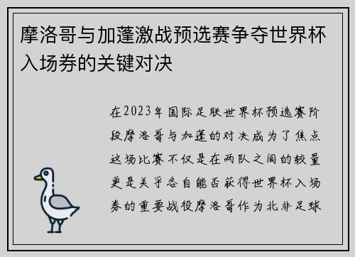 摩洛哥与加蓬激战预选赛争夺世界杯入场券的关键对决
