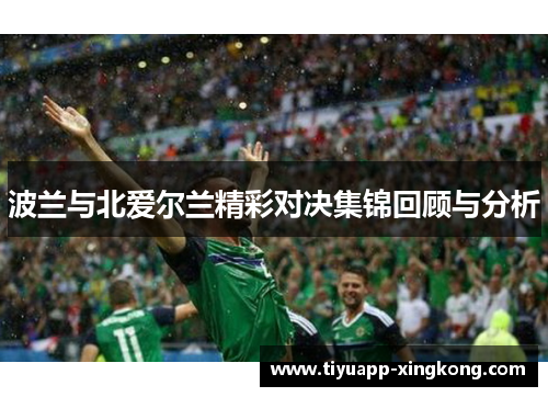 波兰与北爱尔兰精彩对决集锦回顾与分析