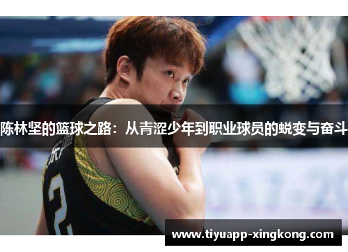 陈林坚的篮球之路：从青涩少年到职业球员的蜕变与奋斗